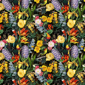 10" Vintage Toucan Bird Spring Flowers Midnight  Garden Jungle black