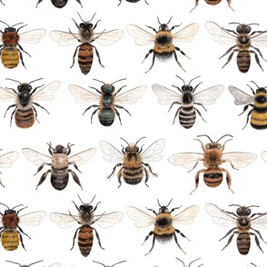 Large Scale - A Collection of Bees