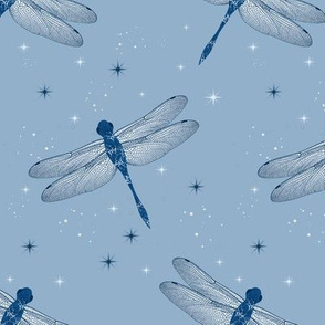 Winter dragonfly blues