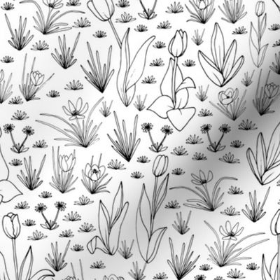 Spring Flora & Fauna - Flora Co-Ordinate Black and White - small scale