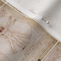 Leonardo Da Vinci Vitruvian Man