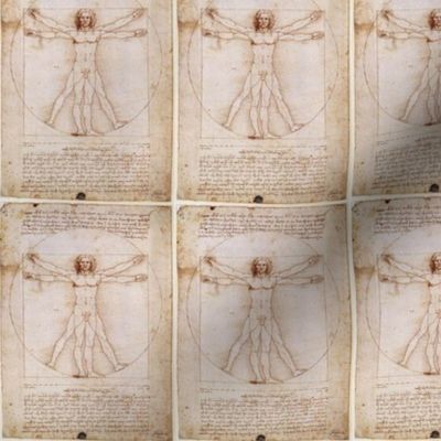 Leonardo Da Vinci Vitruvian Man