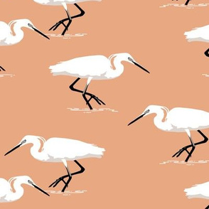 White herons on coral - small scale 