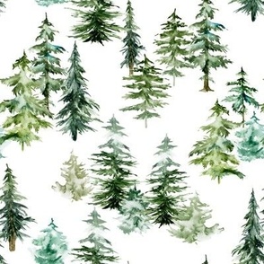 Forest Trees