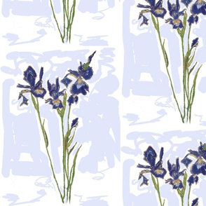 Blue Iris Watery