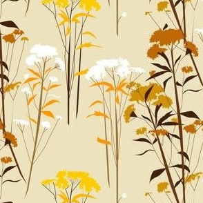 eupatorium flowers - brown-orange