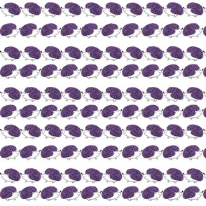 Hedgehogs On Parade Colored Purple