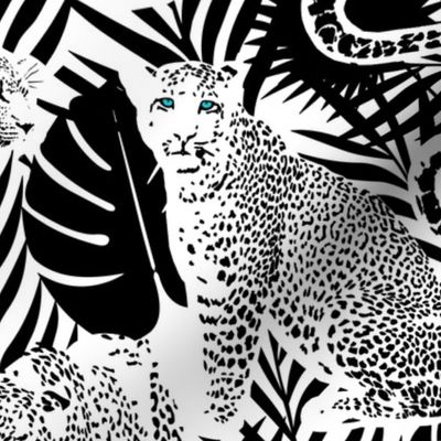 Wild Leopards Black and White