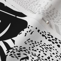 Wild Leopards Black and White