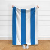 Giant Stripe Blue and White Vertical