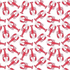 tiny red lobsters on white