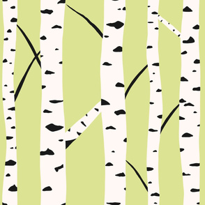 Birch Trees