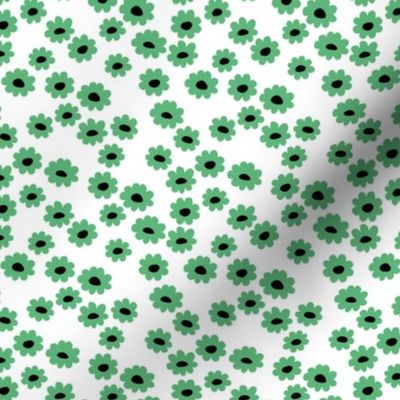 St Patrick's Day Irish daisies flower design and green blossom minimal abstract retro daffodil daisy modern grass green white small