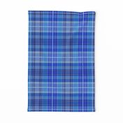 Cool Tartan in Classic Blue