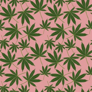 Cannabis - pink 