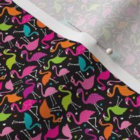 Flamingo summer colorful tropical birds retro girls print black XXS