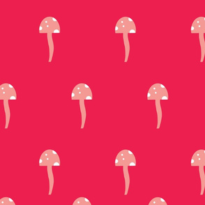 Red and White Mushroom