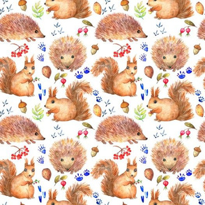Hedgehog and squirrel cute character watercolor seamless pattern on white