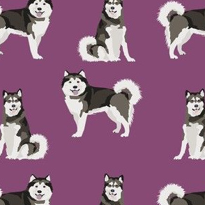 malamute fabric - alaskan malamute fabric, curly tail fabric, dog fabric, pet fabric - purple
