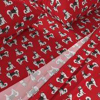 malamute fabric - alaskan malamute fabric, curly tail fabric, dog fabric, pet fabric - red