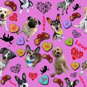 Dogs Gone Wild for Valentine's