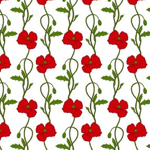 Simple Poppy on White