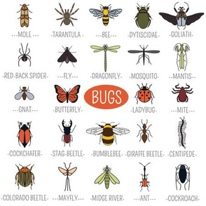 Bugs and Names on White