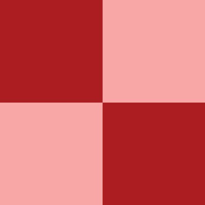 JP4 - Cheater Quilt Checkerboard  in Seven Inch Squares of Rich Rusty Coral Red and Coral Pastel