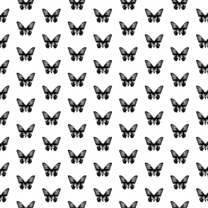 Antique Butterfly Art Black and White (Small Size Print)