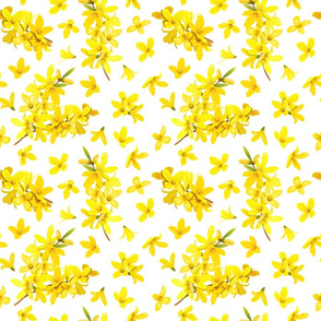 forsythia-pattern