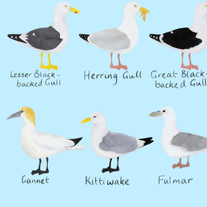 British Gulls (and those accused of being)