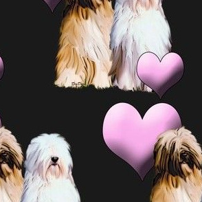 Tibetan Terriers With Hearts