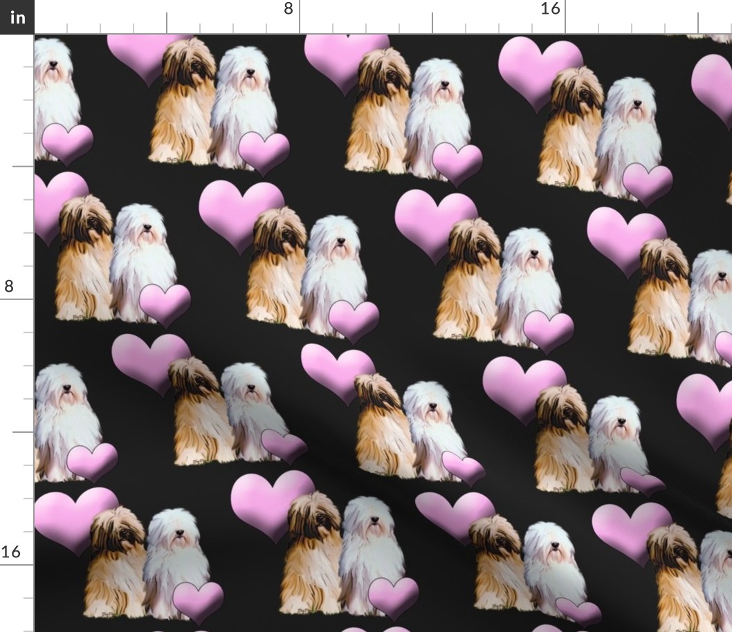 Tibetan Terriers With Hearts