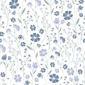 blue dirzy flowers_300x