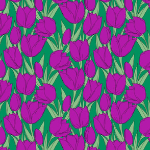 field of purple tulips trimmed