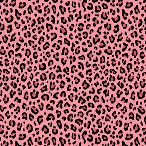 ★ LEOPARD PRINT in FLAMINGO PINK ★ Tiny Scale / Collection : Leopard Spots – Punk Rock Animal Prints