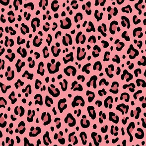 ★ LEOPARD PRINT in FLAMINGO PINK ★ Small Scale / Collection : Leopard Spots – Punk Rock Animal Prints