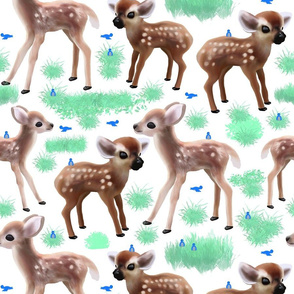 Baby deers and  birds