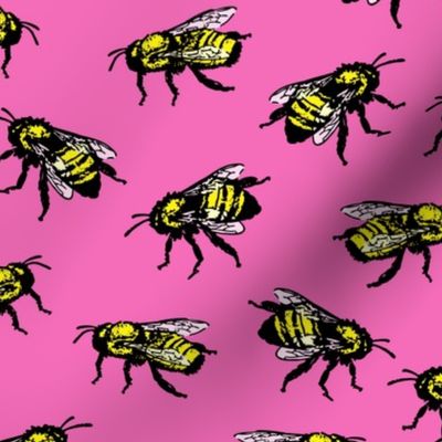 honey bees on pink