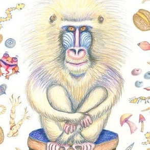a pretty chill mandrill portrait along with the foods they like to eat, large scale, white yellow blue ivory cream orange brown