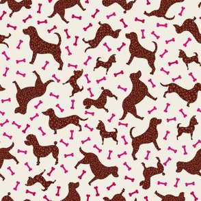 Scattered Mixed Dogs and Bones Brown & Cream