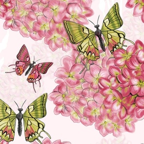 Butterflies In the Pink