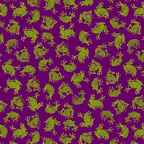 small market frogs on dark purple
