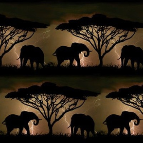 Elephants lightning safari