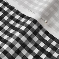 Water Color Gingham