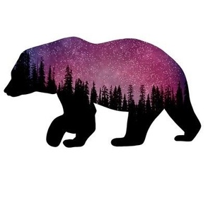 nighttime forest bear silhouette 