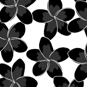 frangipani - black on white