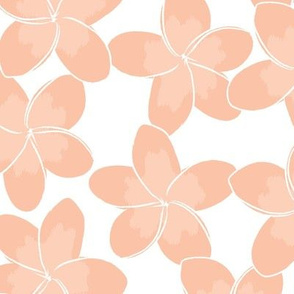 frangipani - peach on white