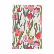 Tulip Bloom - pink, red and white tulips on white