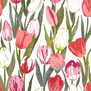 Tulip Bloom - pink, red and white tulips on white